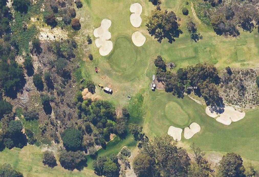 Mt Lawley Golf Club Tree Removal